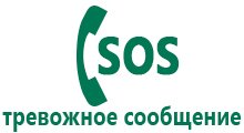 Часы телефон с gps q60