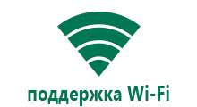 Часы gw100 с обезьянкой завод wonlex